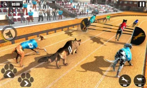 Tìm Hiểu Cách Chơi Game Nhanh Đua Chó Tại JBO Hấp Dẫn